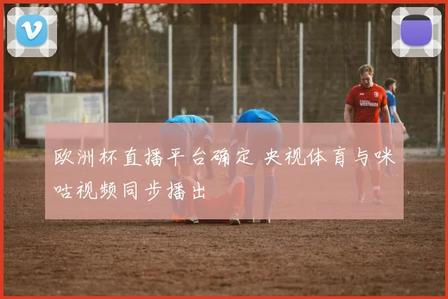 欧洲杯直播平台确定 央视体育与咪咕视频同步播出