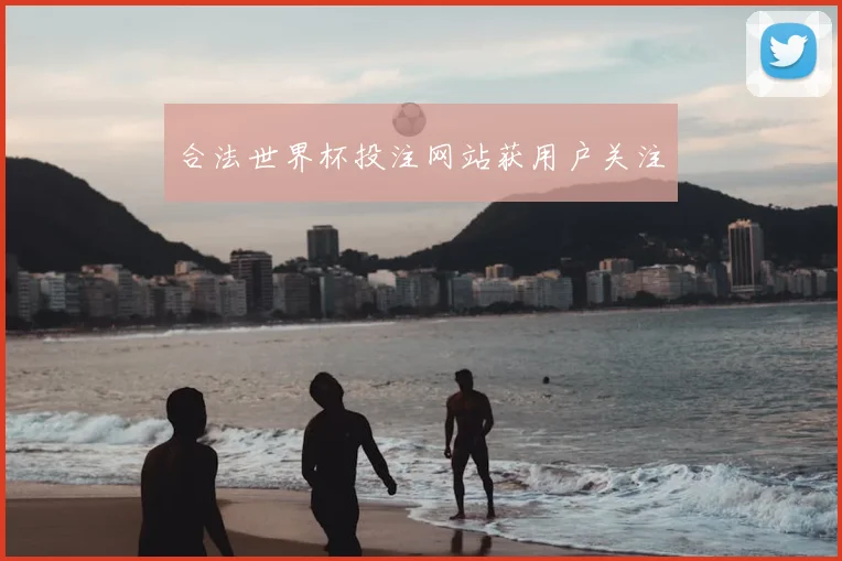 合法世界杯投注网站获用户关注