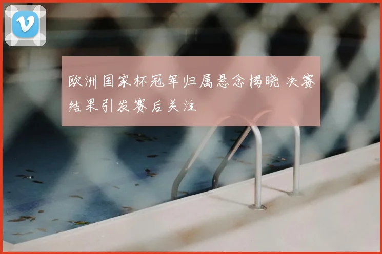 欧洲国家杯冠军归属悬念揭晓 决赛结果引发赛后关注
