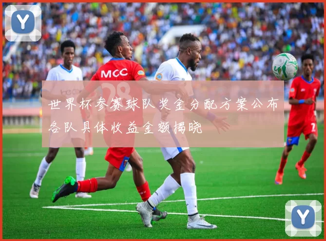 世界杯参赛球队奖金分配方案公布各队具体收益金额揭晓