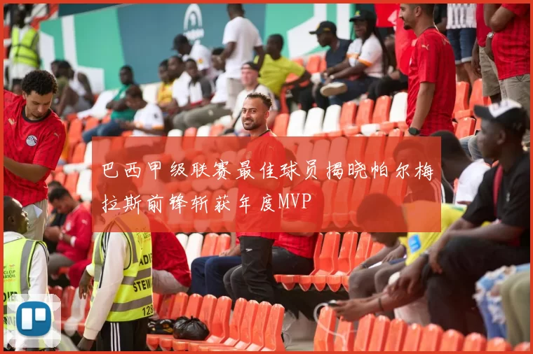 巴西甲级联赛最佳球员揭晓帕尔梅拉斯前锋斩获年度MVP