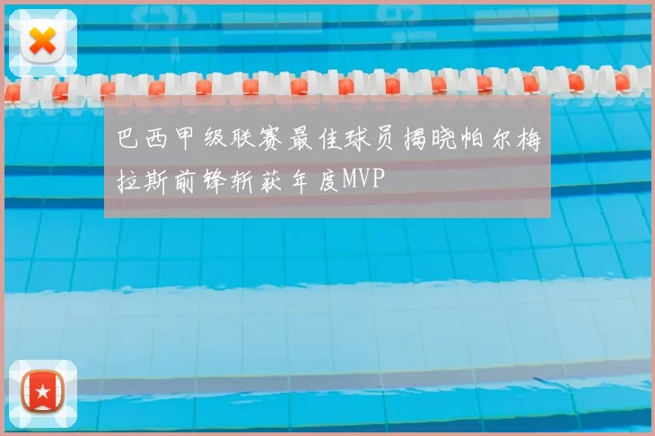 巴西甲级联赛最佳球员揭晓帕尔梅拉斯前锋斩获年度MVP
