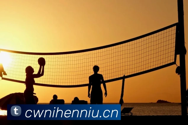 半岛在线 - 半岛在线(中国)平台生态图